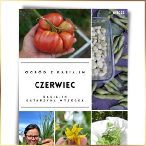 Ogród z Kasia.in – Czerwiec - e-book