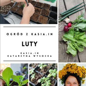 Ogród z Kasia.in – Luty 2022 – e-book