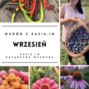 Ogród z Kasia.in – Wrzesień 2022 – e-book