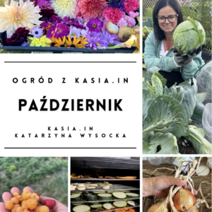 Ogród z Kasia.in – Październik 2022 – e-book